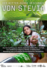 Der bitter-süsse Geschmack von Stevia