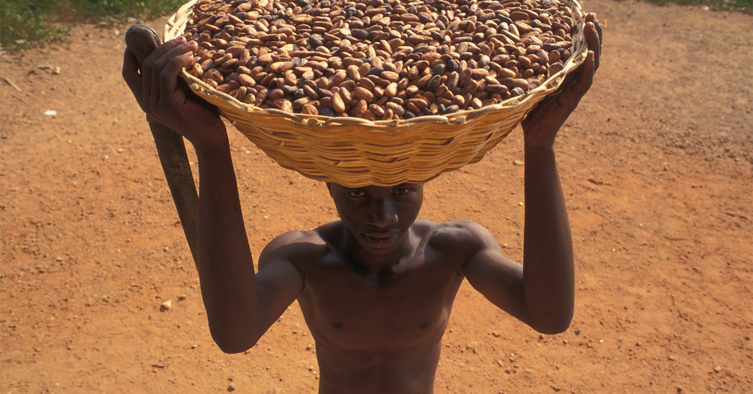 Kinderarbeit Auf Kakaoplantagen Bilanz Des Hakin Engels Protokolls 